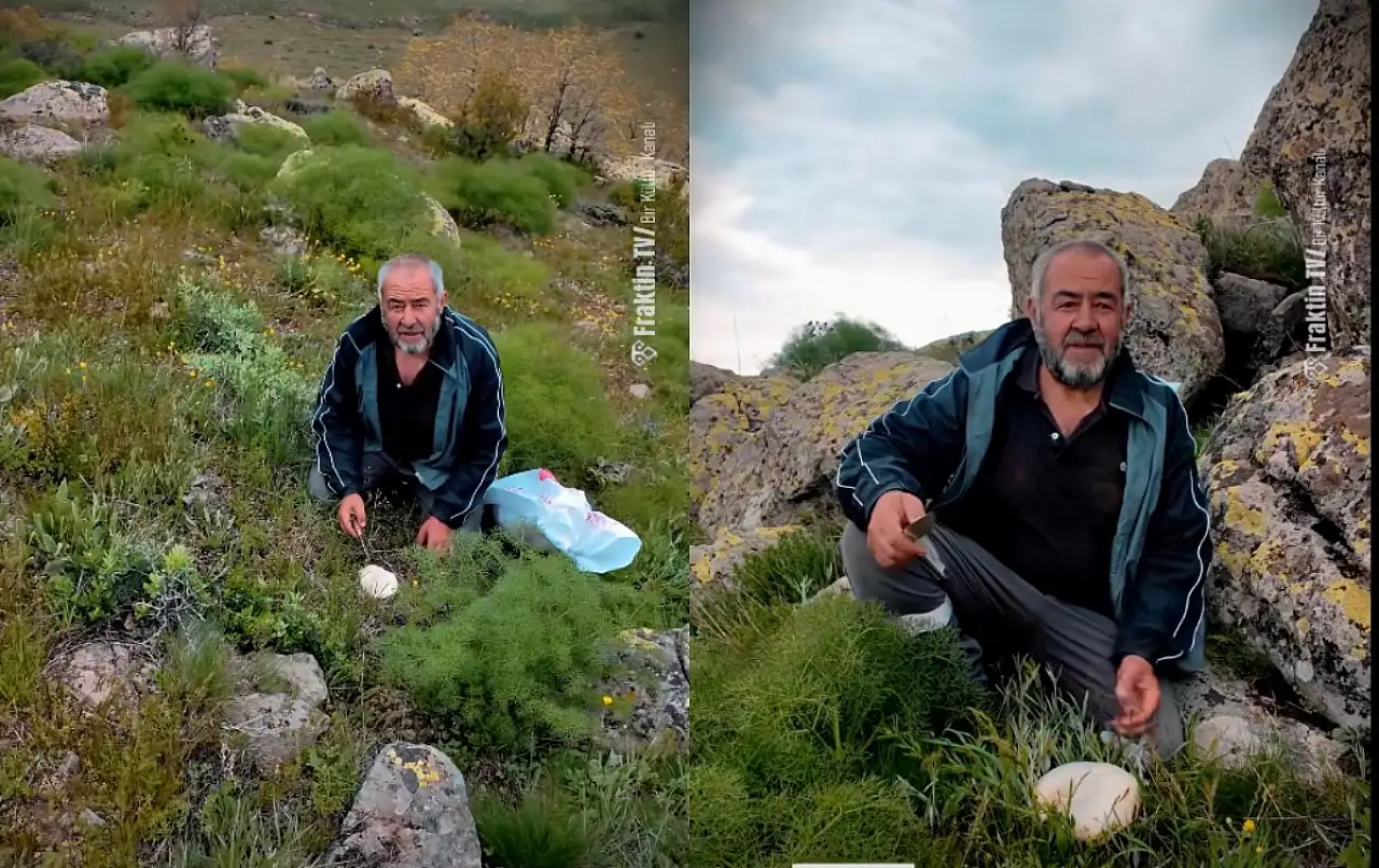 Kayseri'de doğada kendiliğinden çıkıyor, nadir görülüyor! Ortaya çıktı