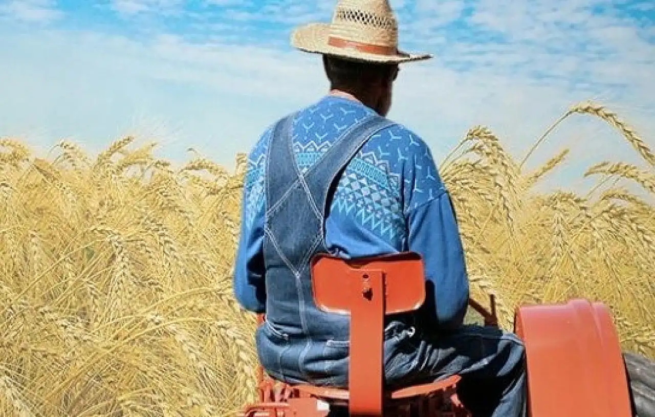 Çiftçinin emeğine güç, toprağına bereket geldi: 349 milyon lira hesaplarda