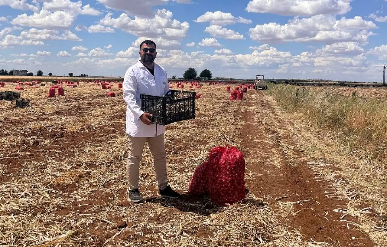 Kayseri'ye gelen sarımsaklarla ilgili dikkat çeken gelişme