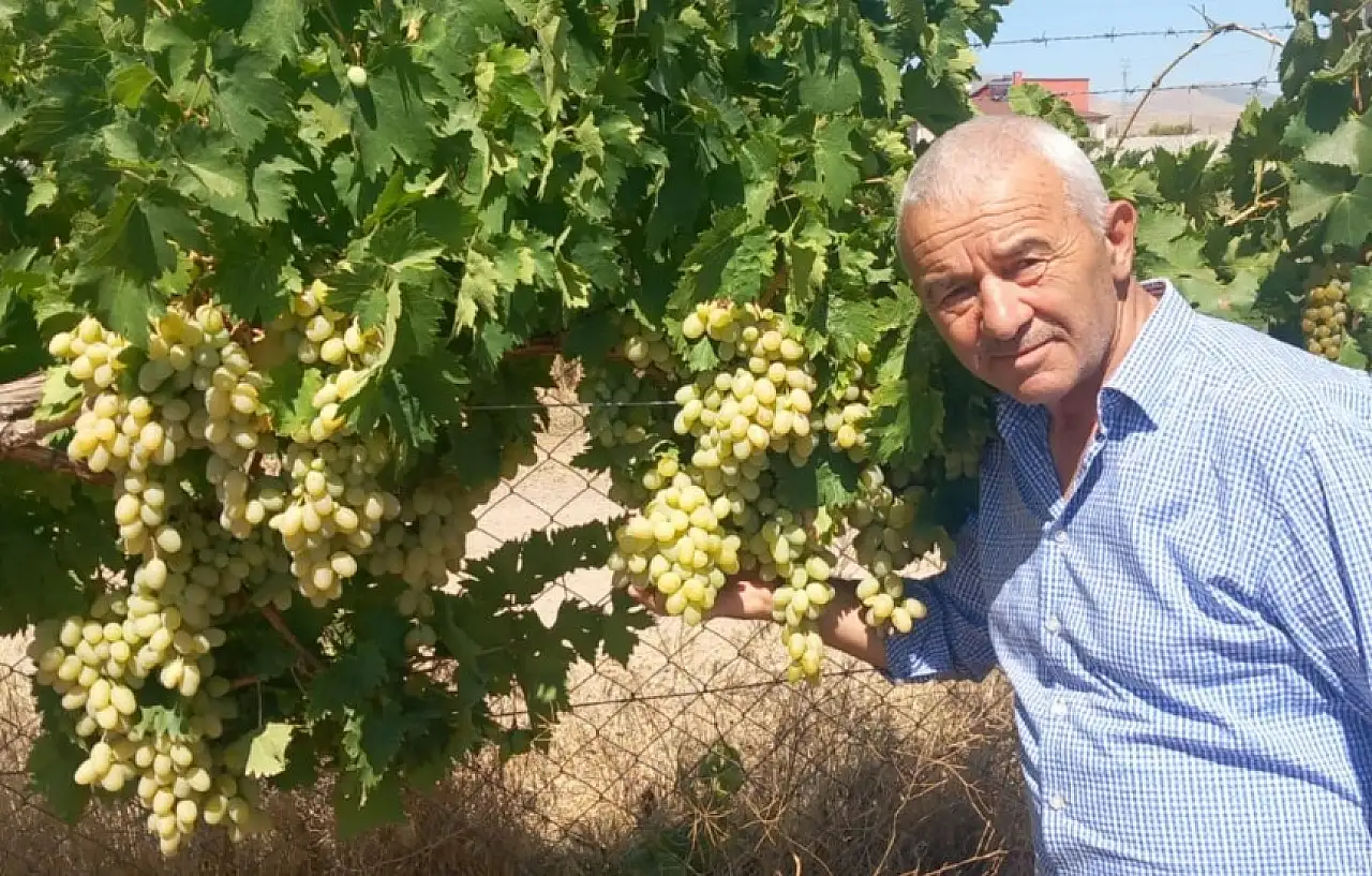 Bu bağda yok yok! Develi'de 250 çeşit üzüm aynı toprakta yetişiyor
