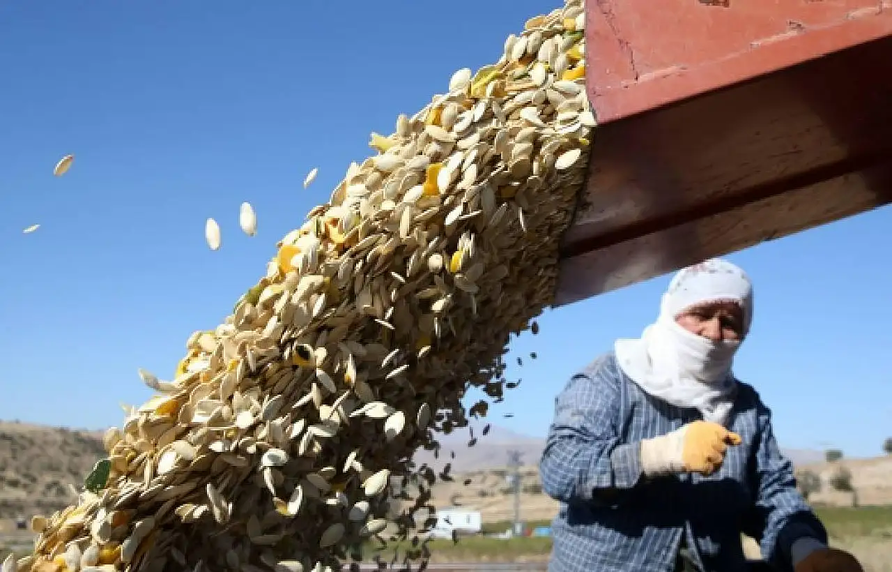 Kayseri Şeker duyurdu! Çiftçilerin beklediği fiyat belli oldu