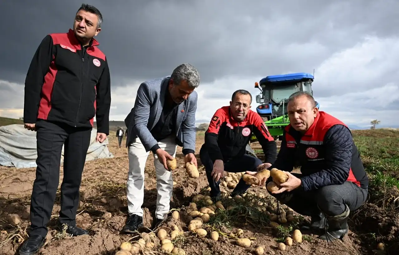 Kayseri'de tarlada hasat, ahırda inceleme!