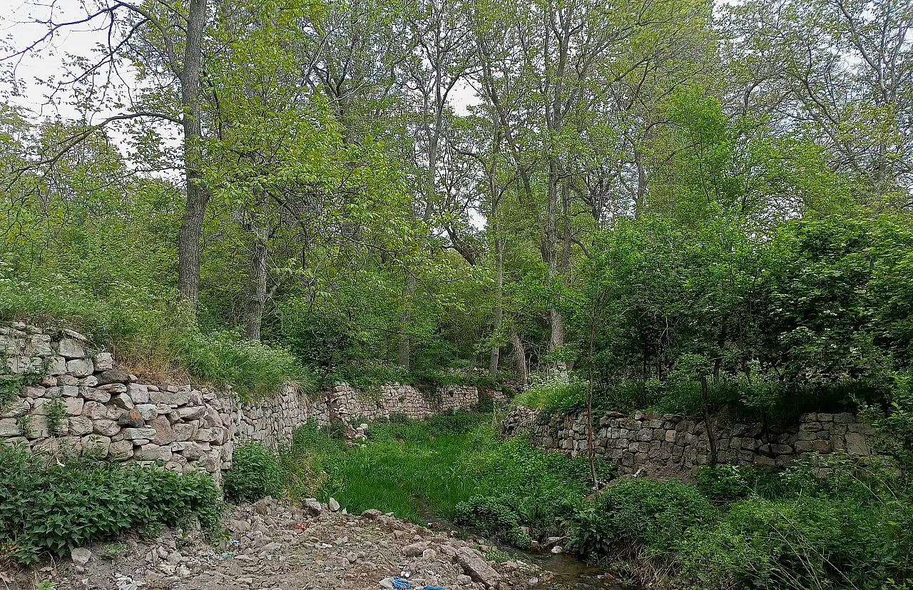 Cıngı, Kayseri'nin unutulmayan türküsünü anlattı