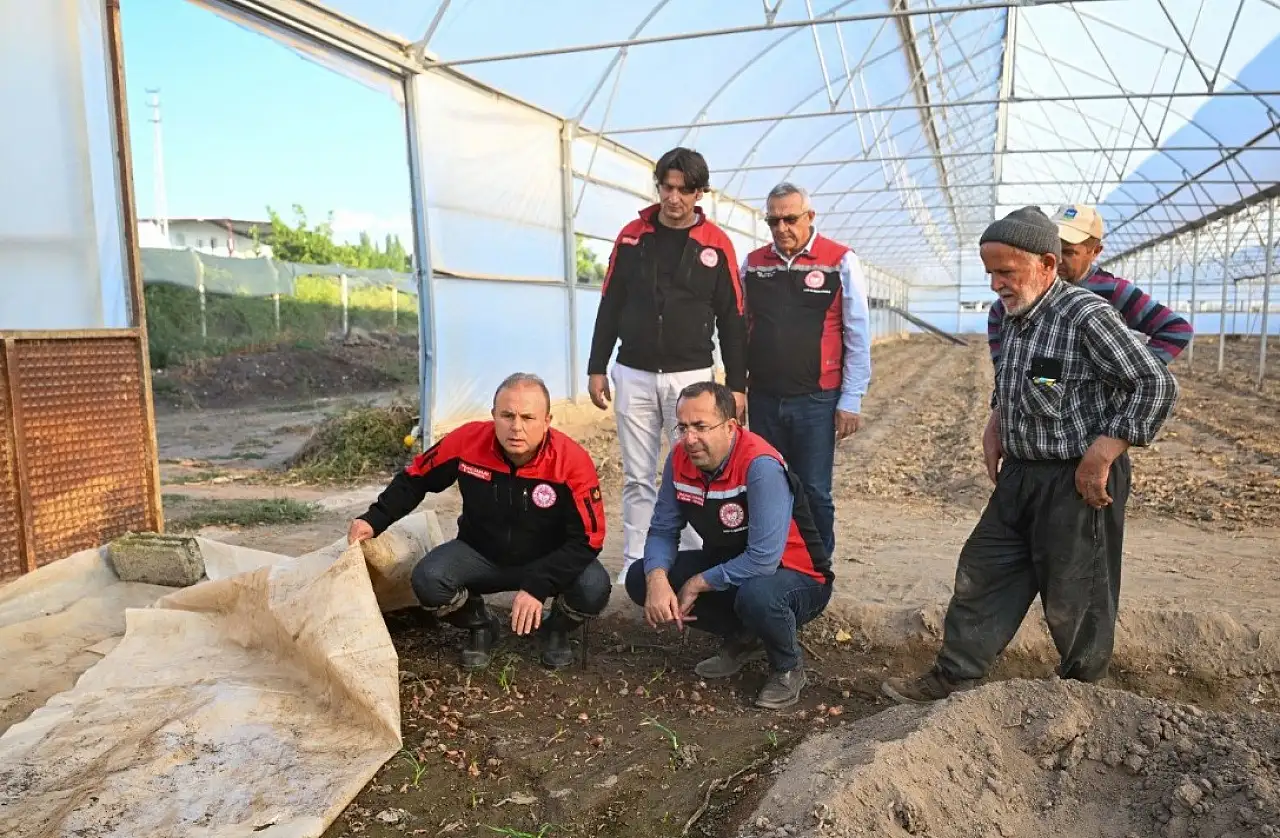 Kayseri'de kabak, marul ve yeşil soğan üretimine yakın takip