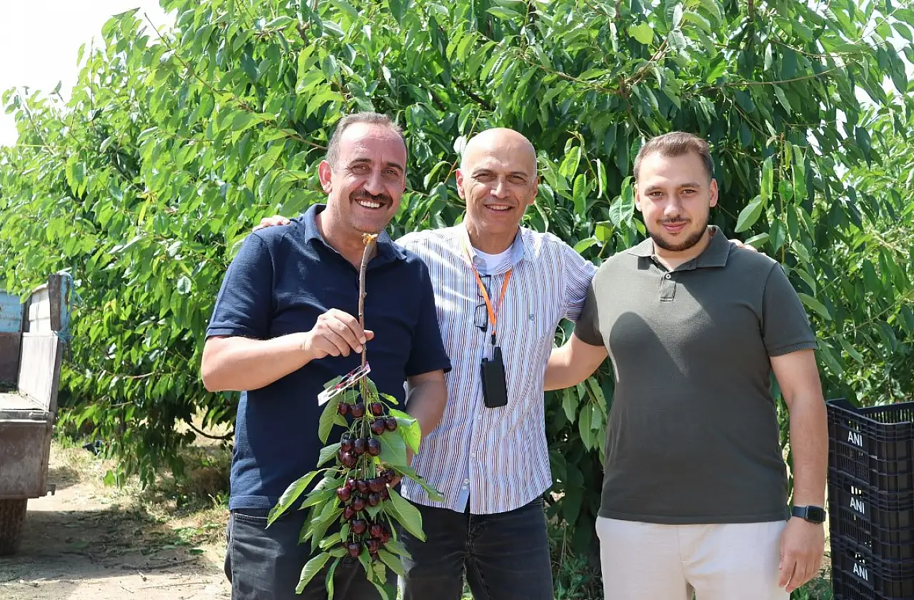 Kayseri'nin kiraz gururu Avrupa'ya gidiyor
