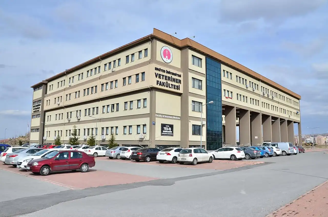 Pınarbaşı'dan getirildi! Kayseri'deki o buzağı ile ilgili dikkat çeken gelişme