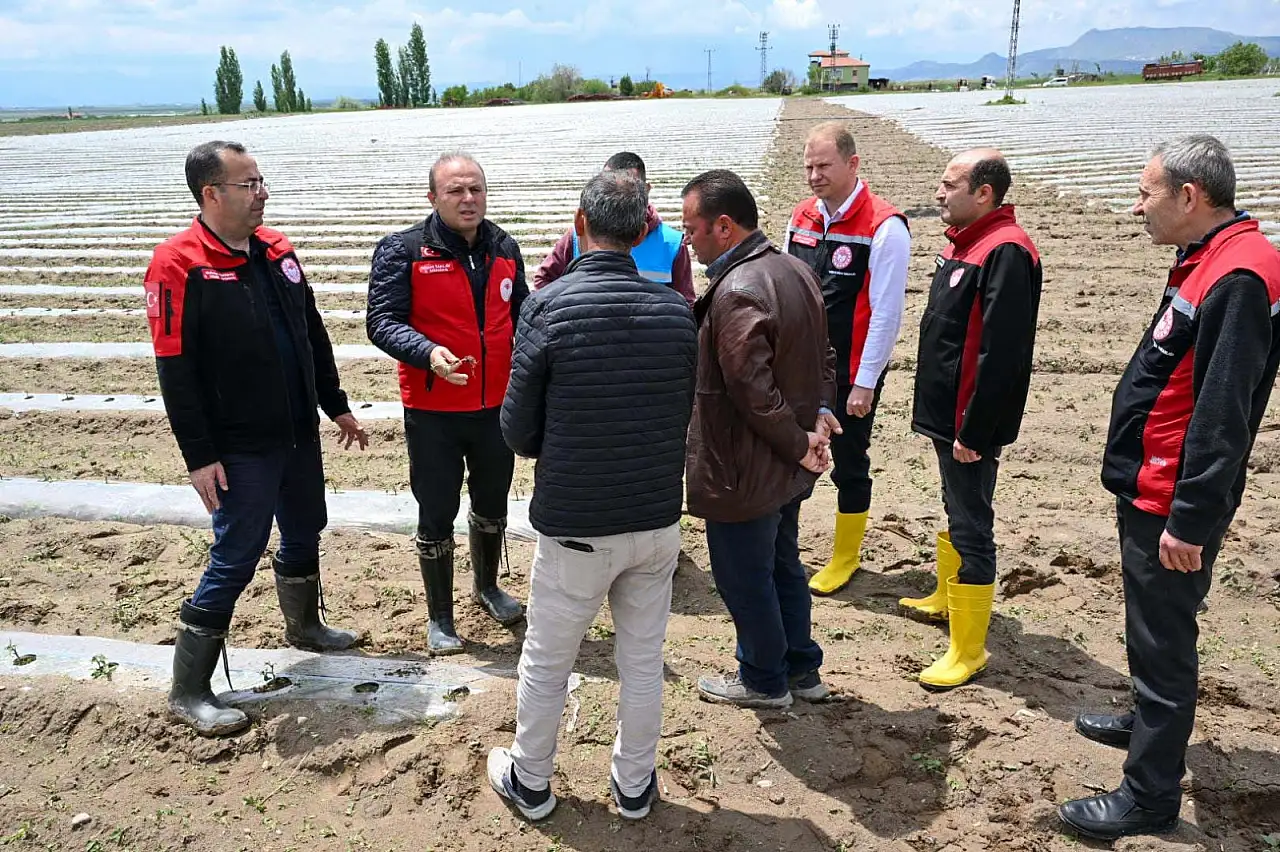Kayseri'yi dolu vurdu! İl Müdürü'nden yerinde denetim