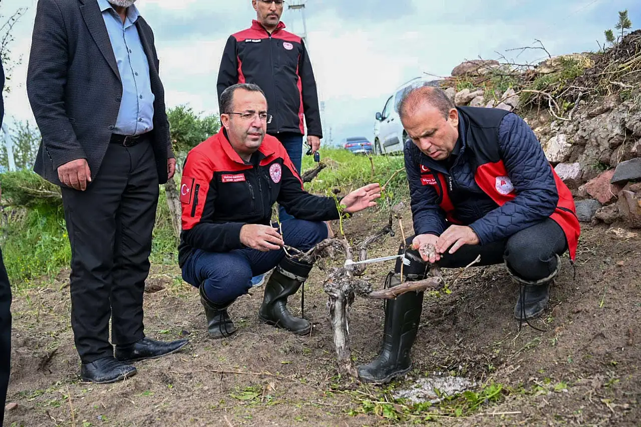 Kayseri'yi dolu vurdu! İl Müdürü'nden yerinde denetim