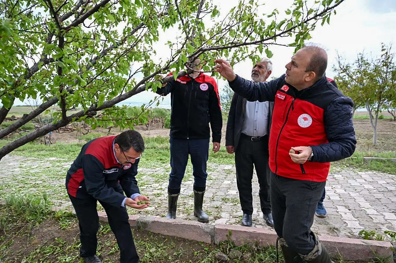 Kayseri'yi dolu vurdu! İl Müdürü'nden yerinde denetim