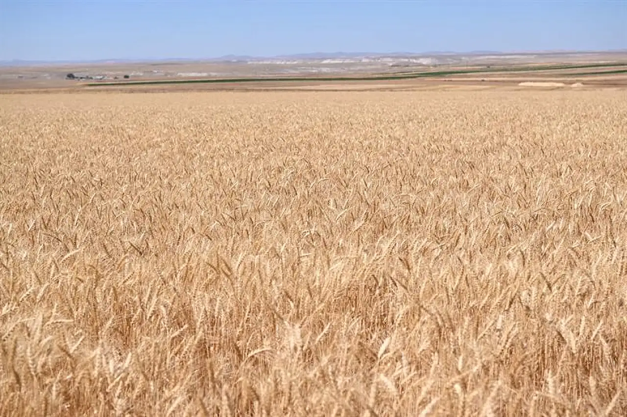 Kayseri'de de birçok kişinin beklediği alım fiyatları açıklandı