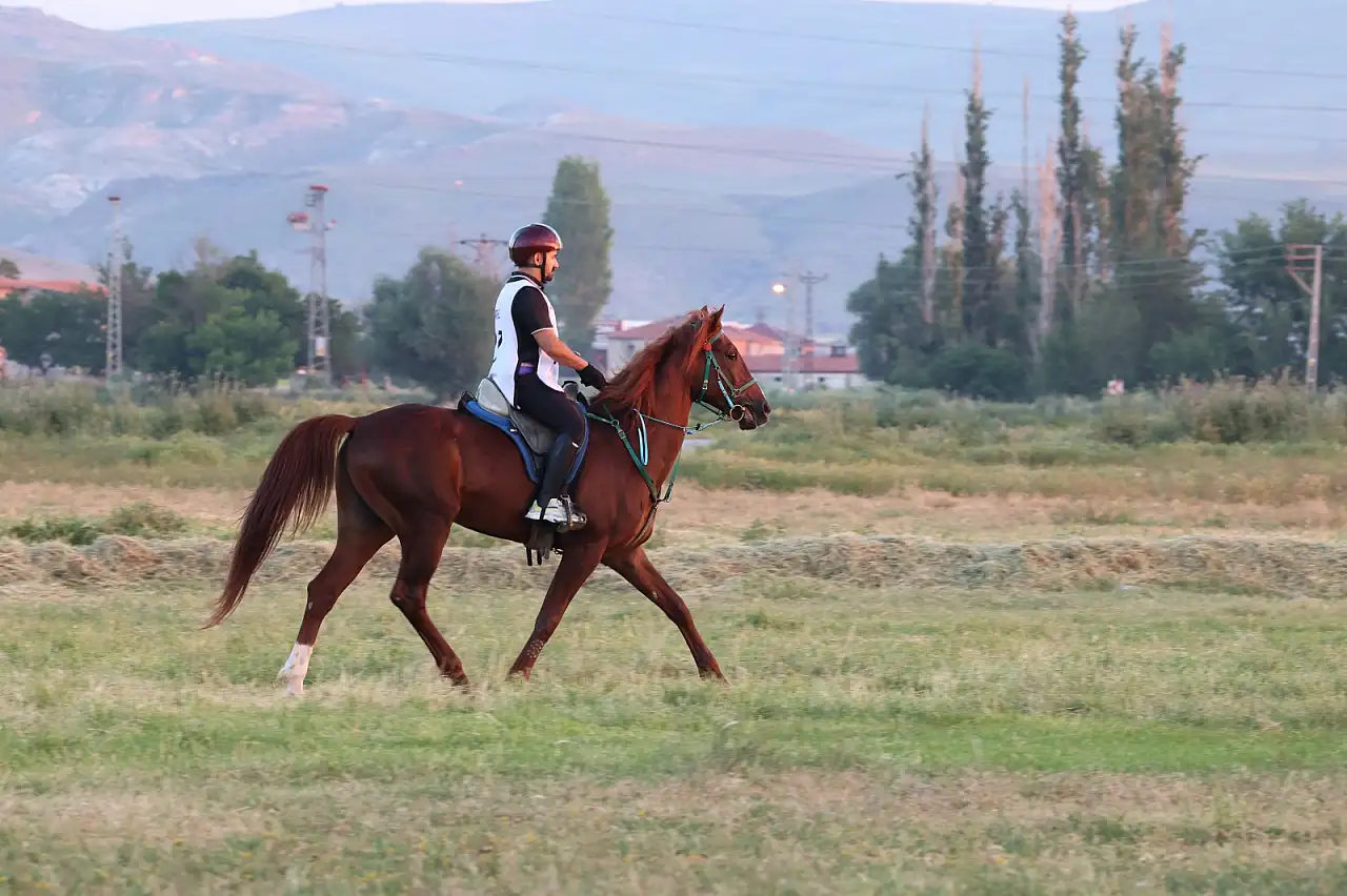 Sporun birleştirici gücü Kayseri'de buluştu