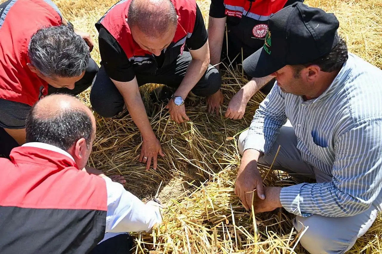 Kayseri'de tarlalar yakın takipte! Kontroller başladı