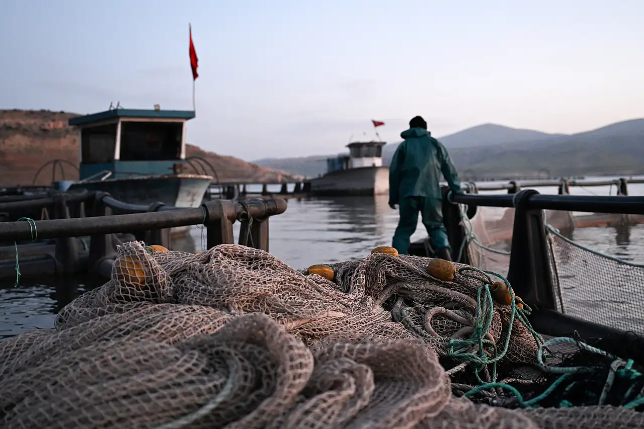 Kayseri'de üretiliyor! 5 bin ton ihraç ediliyor!
