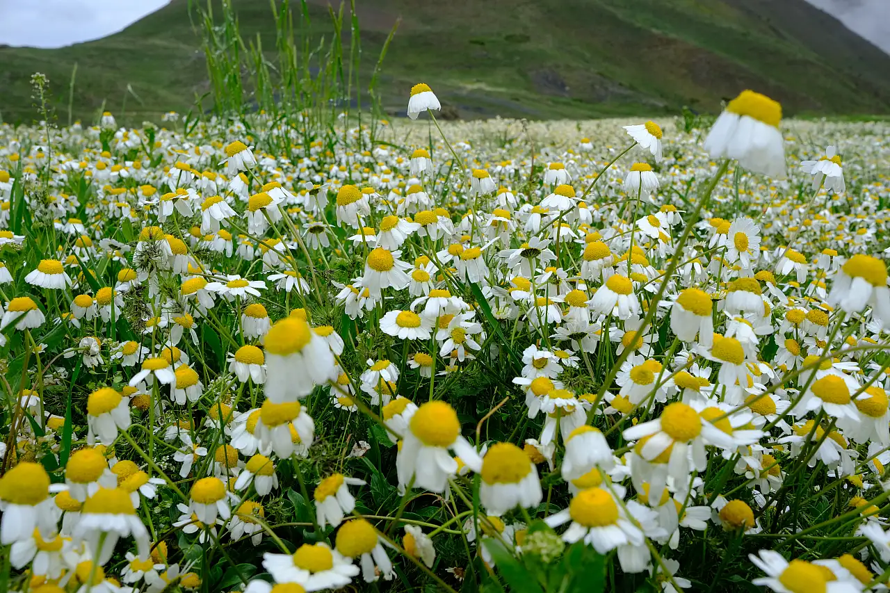 Kayseri'nin doğal fotoğraf stüdyosu!