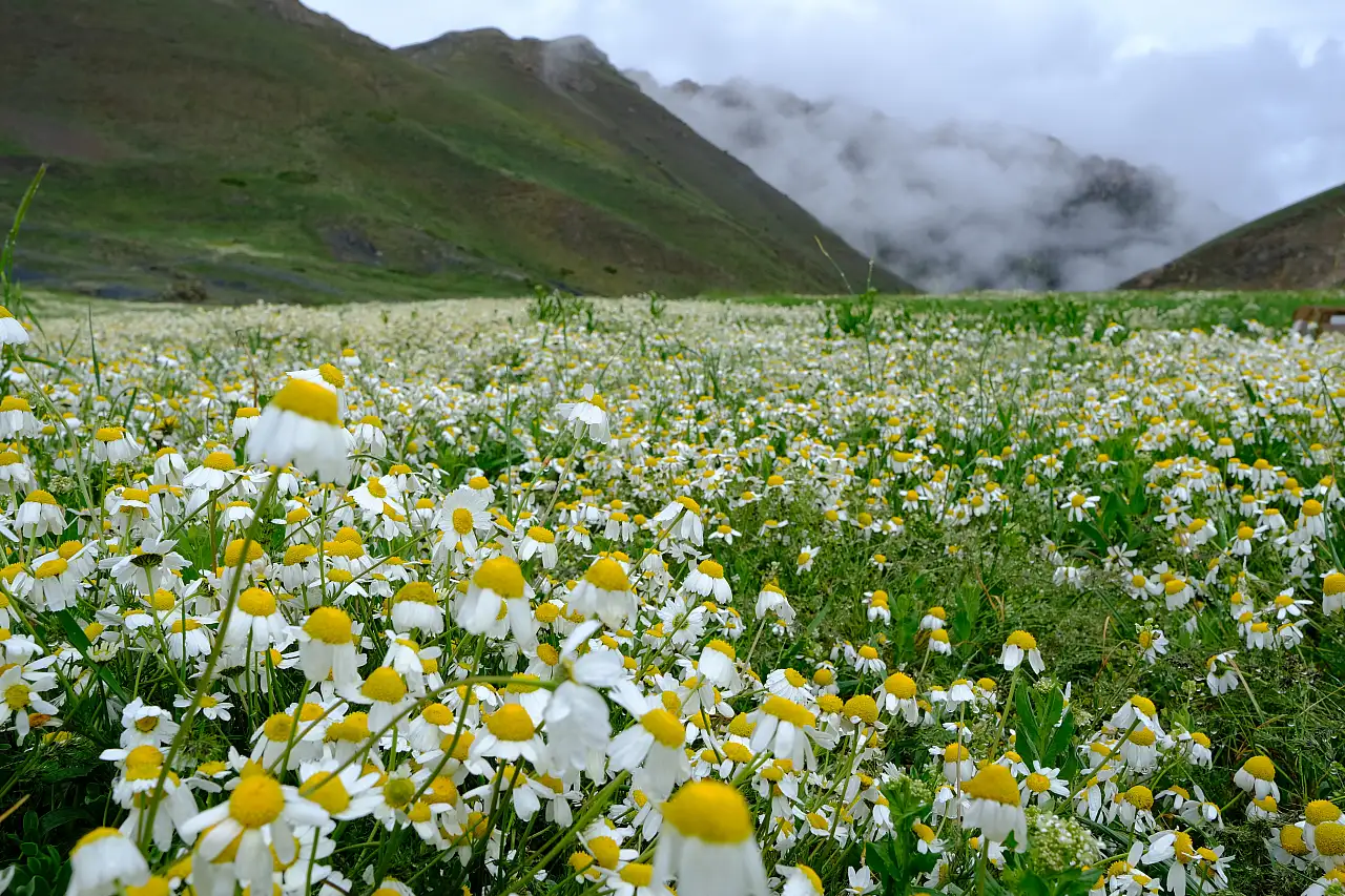 Kayseri'nin doğal fotoğraf stüdyosu!