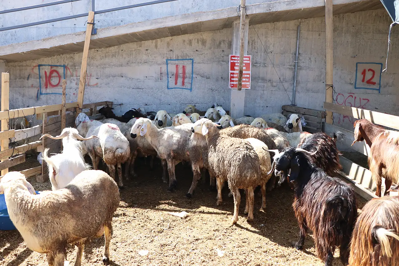 Pazar yeri doldu taştı! Kayseri'de telaş sürüyor