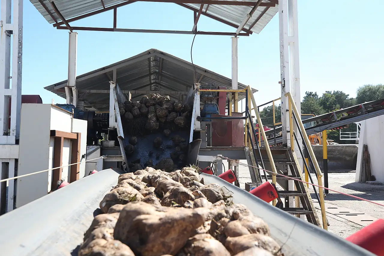 Kayseri Şeker, 3,36 milyon ton hasat yapacak