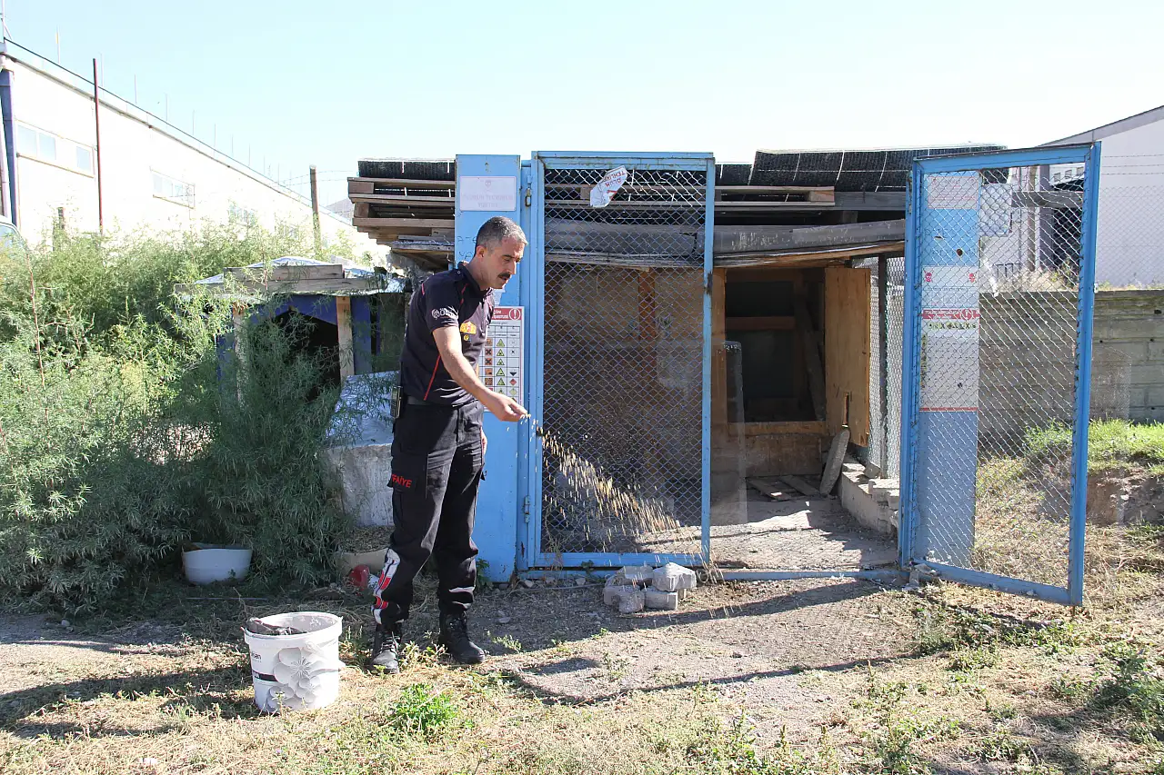 Depremzede kuşlara şefkat eli