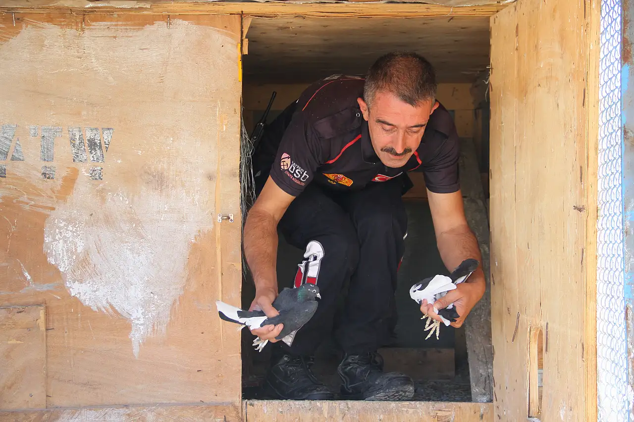 Depremzede kuşlara şefkat eli