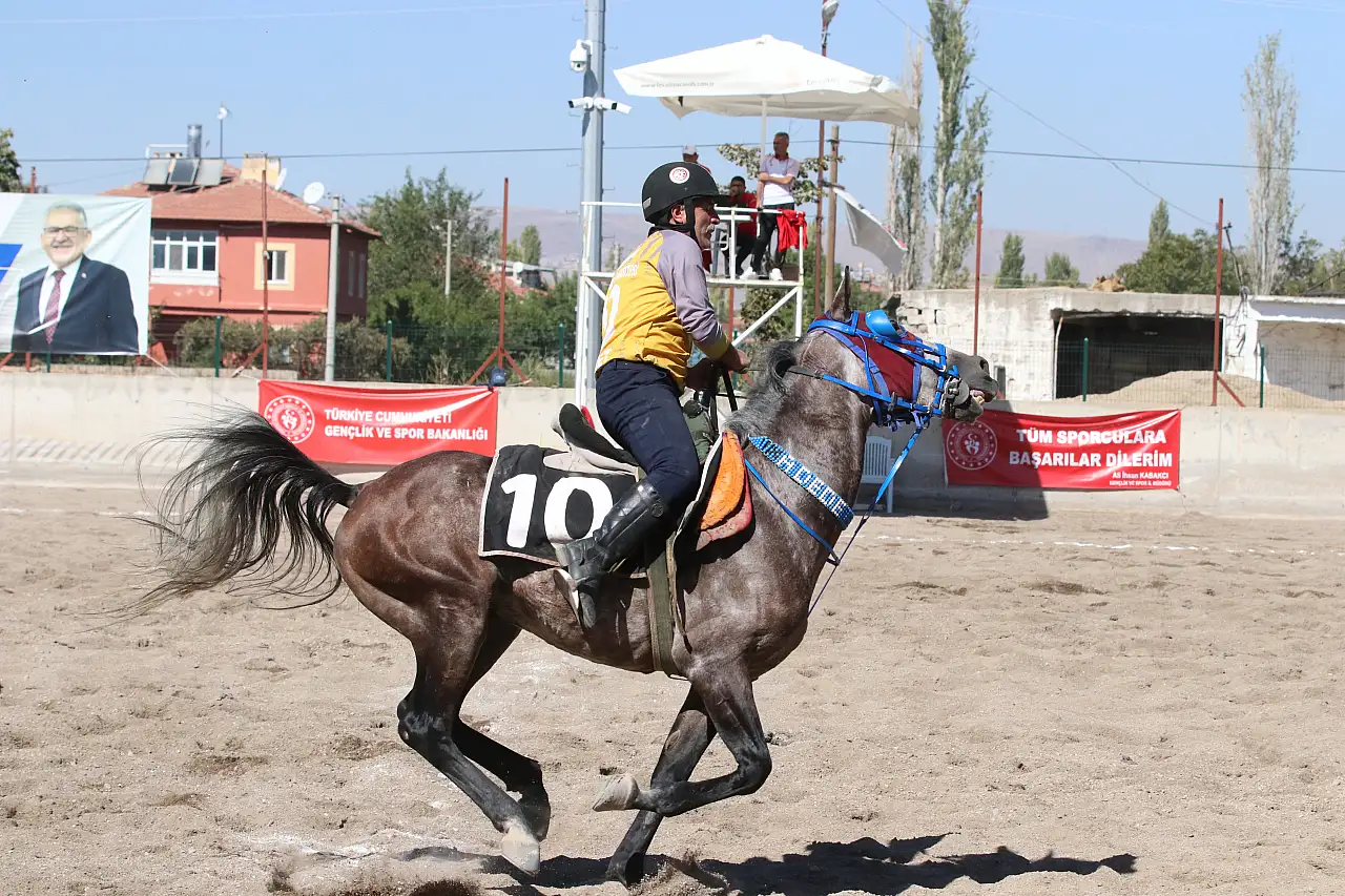 Atlı ciritin ak saçlı dedesi