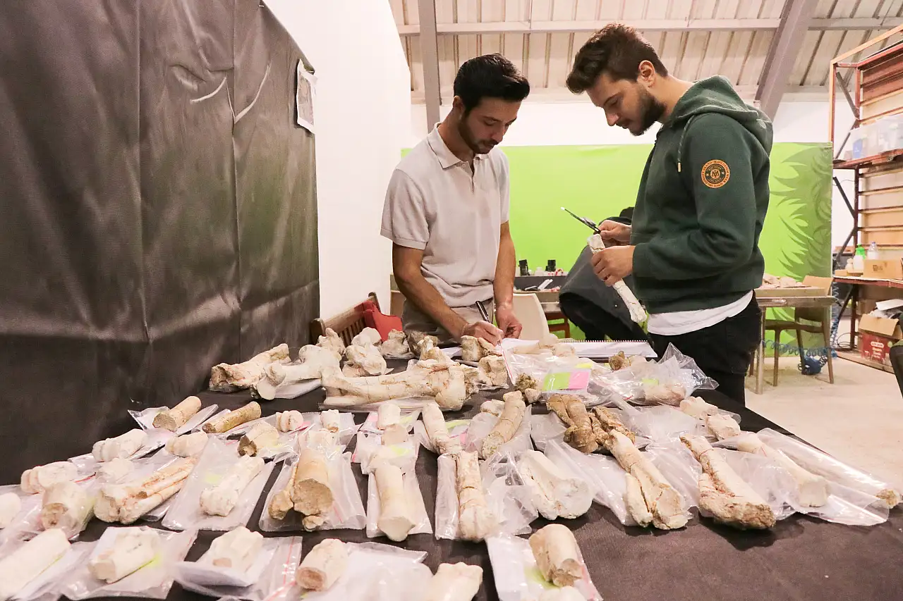 Yamula Barajı'nda zürafa, at ve gergedan fosilleri bulundu