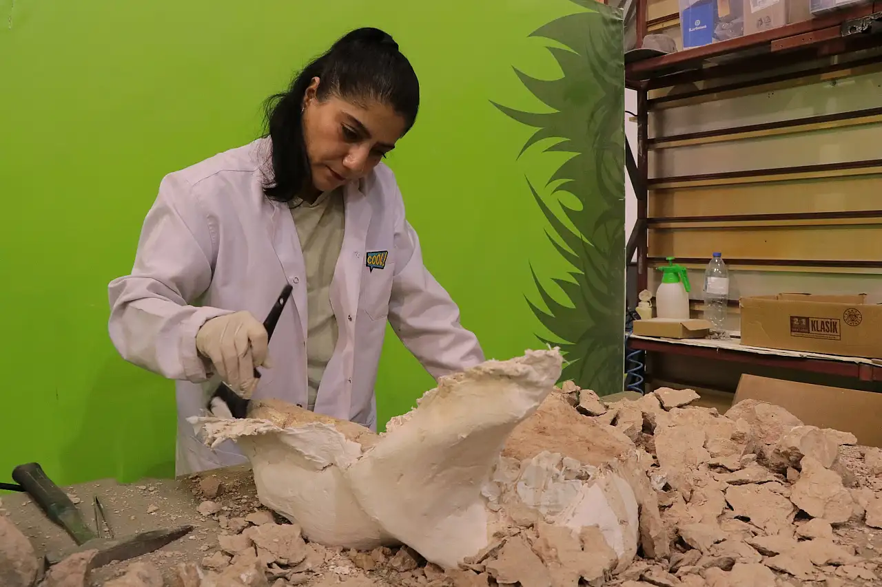 Yamula Barajı'nda zürafa, at ve gergedan fosilleri bulundu