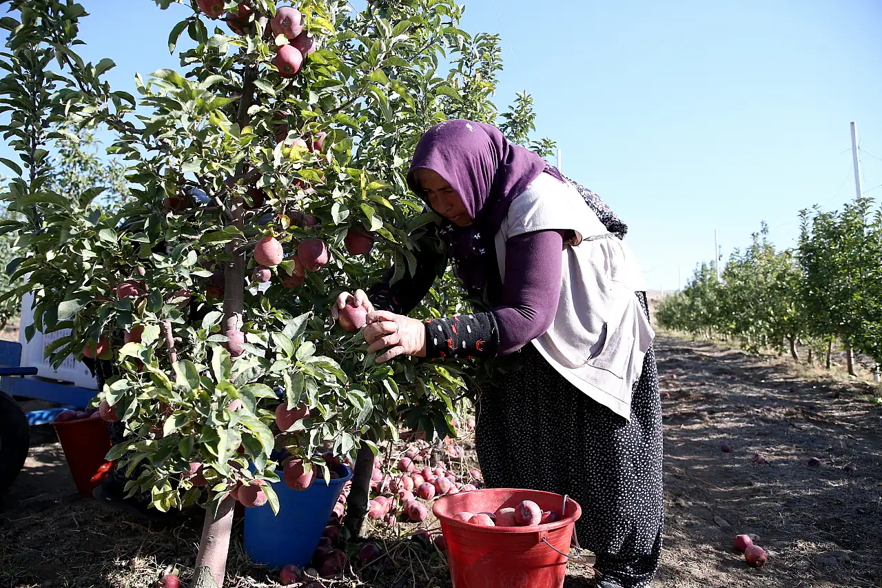 Kayseri'deki o sektörü kadınlar ele geçirdi
