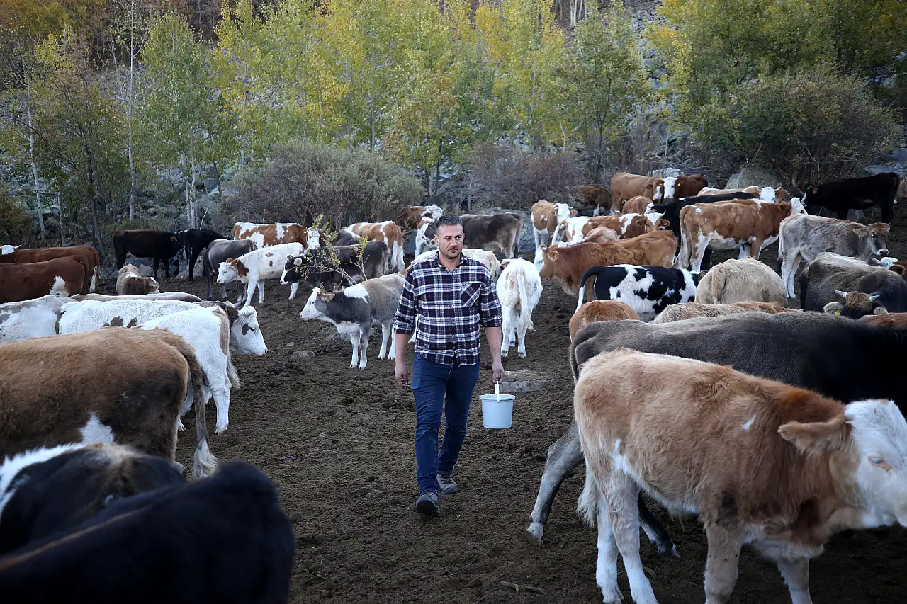 Kayseri'de Yörük Ömer, dede mesleğini tek başına dağlarda sürdürüyor