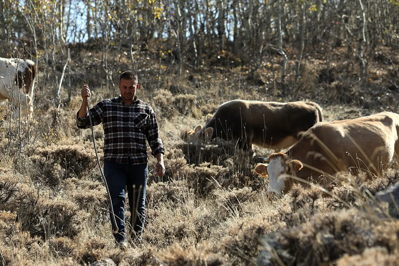 Kayseri'de Yörük Ömer, dede mesleğini tek başına dağlarda sürdürüyor