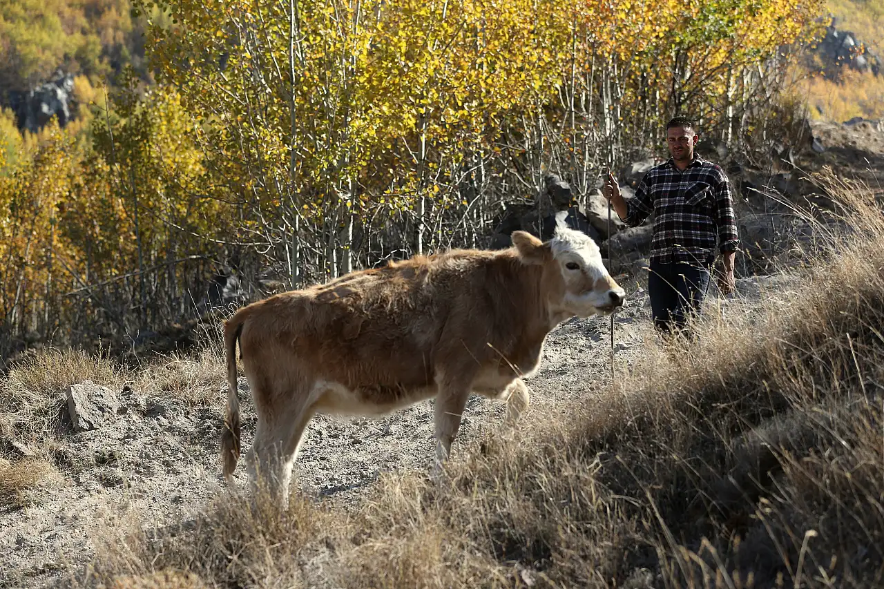 Kayseri'de Yörük Ömer, dede mesleğini tek başına dağlarda sürdürüyor