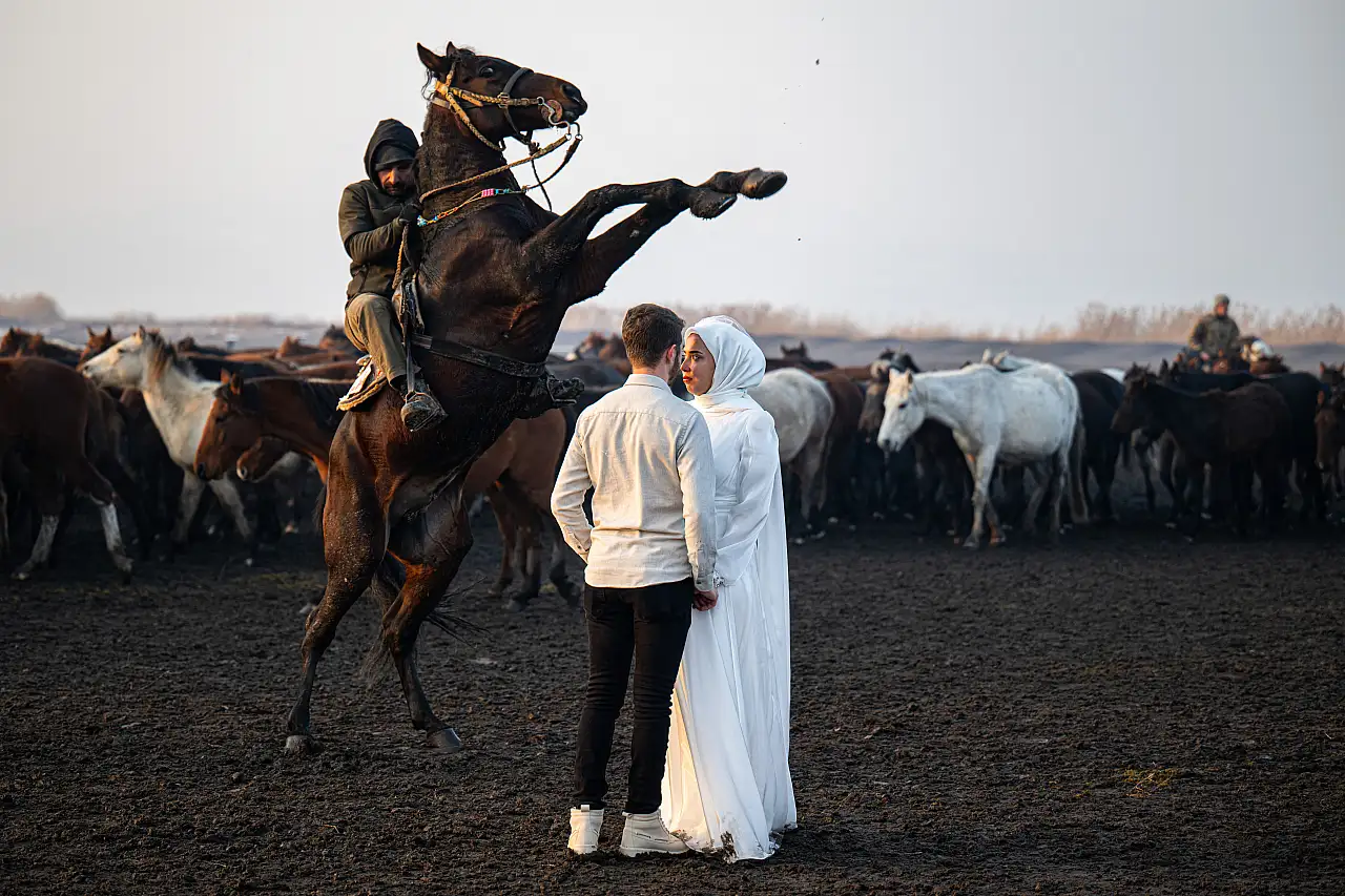 Yılkı atlarını hiç böyle görmediniz