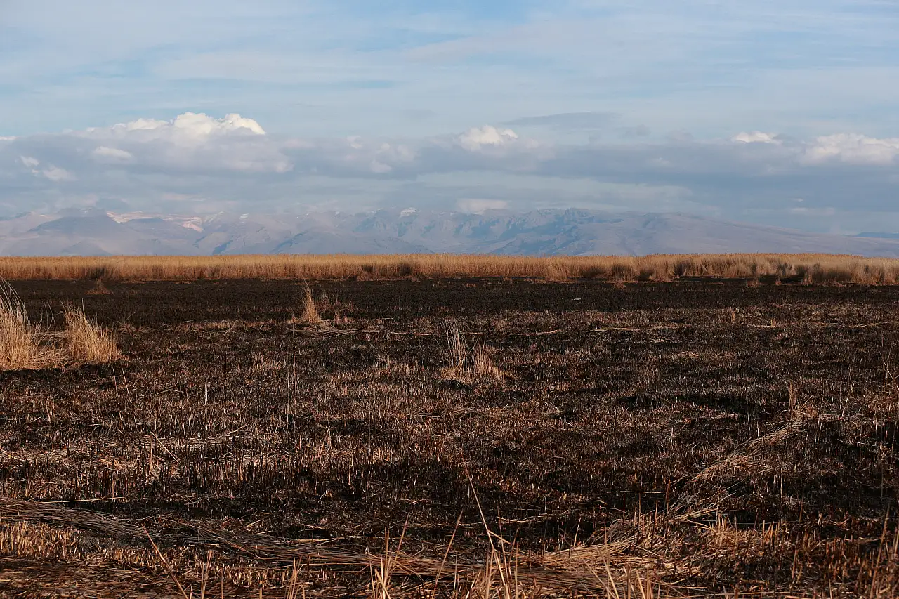 Kayseri'nin cennetinde 120 hektar alan yandı!
