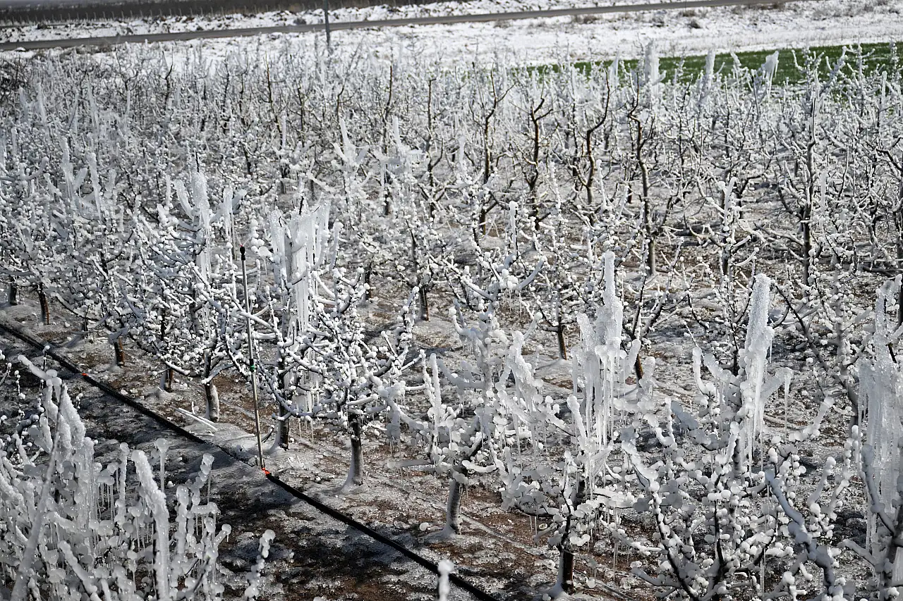 Kayserili üreticilerden zirai dona Karşı 'buz' gibi önlem