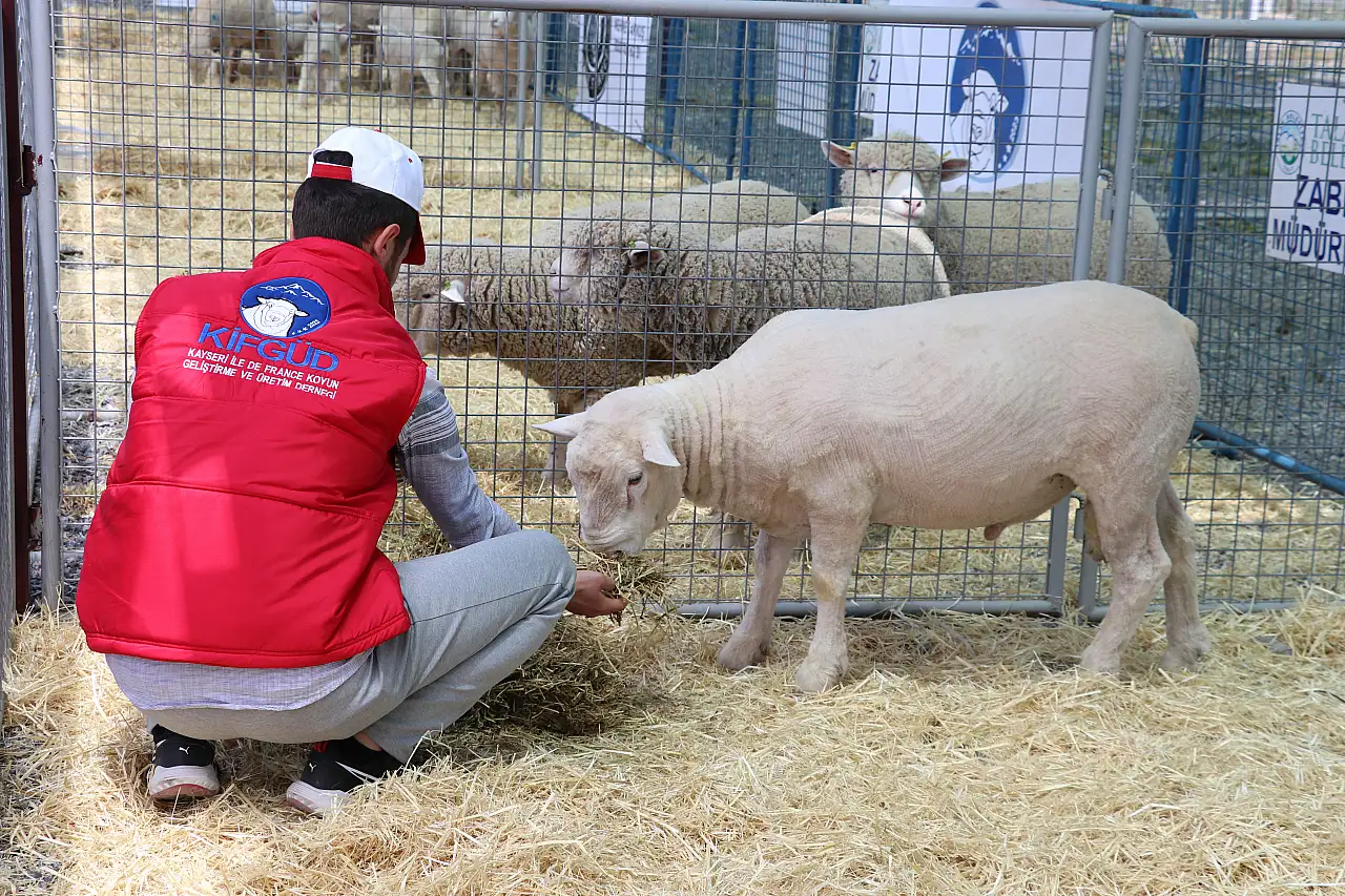 İşte Kayseri'nin en güzelleri...