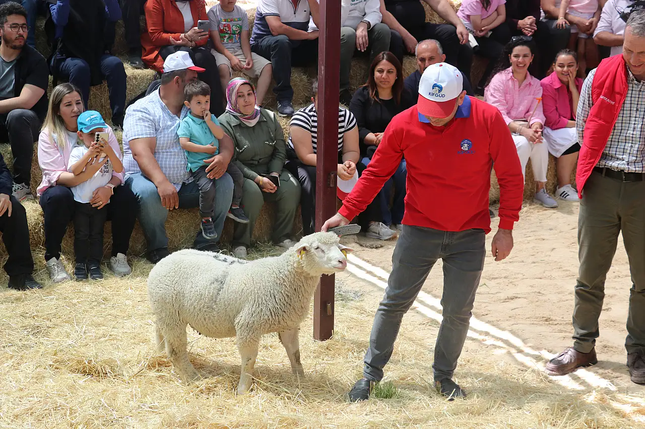 İşte Kayseri'nin en güzelleri...