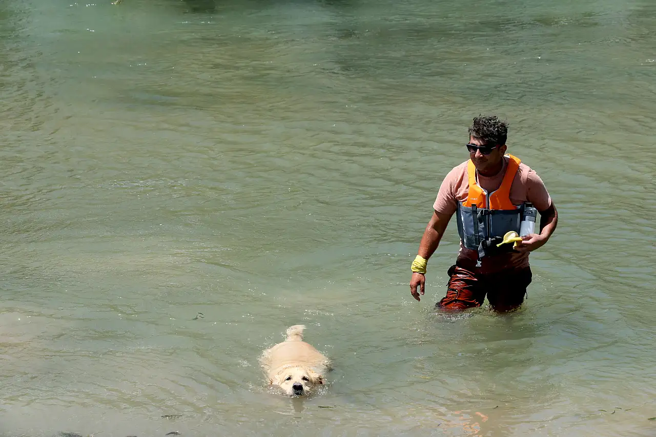 Kayseri bu köpeği konuşuyor