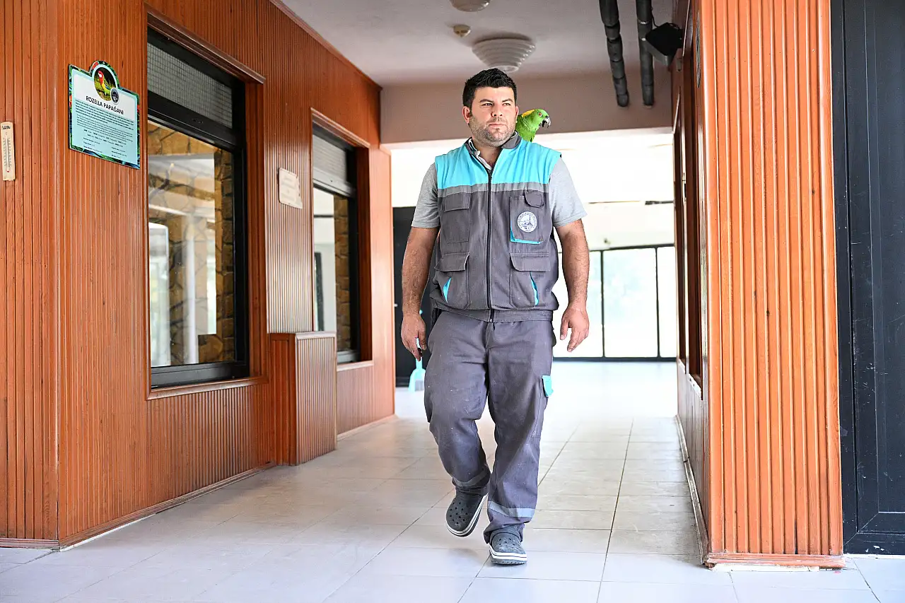 Papağanlarla 12 yıllık dostluk! 'Onlar artık bizim çocuğumuz oldu'