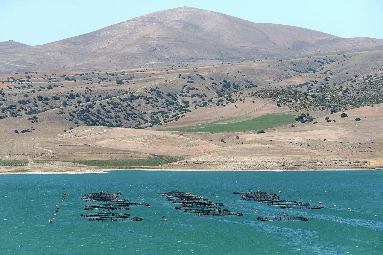 Kayseri'de yetişen lezzet dünya sofralarında tüketiliyor