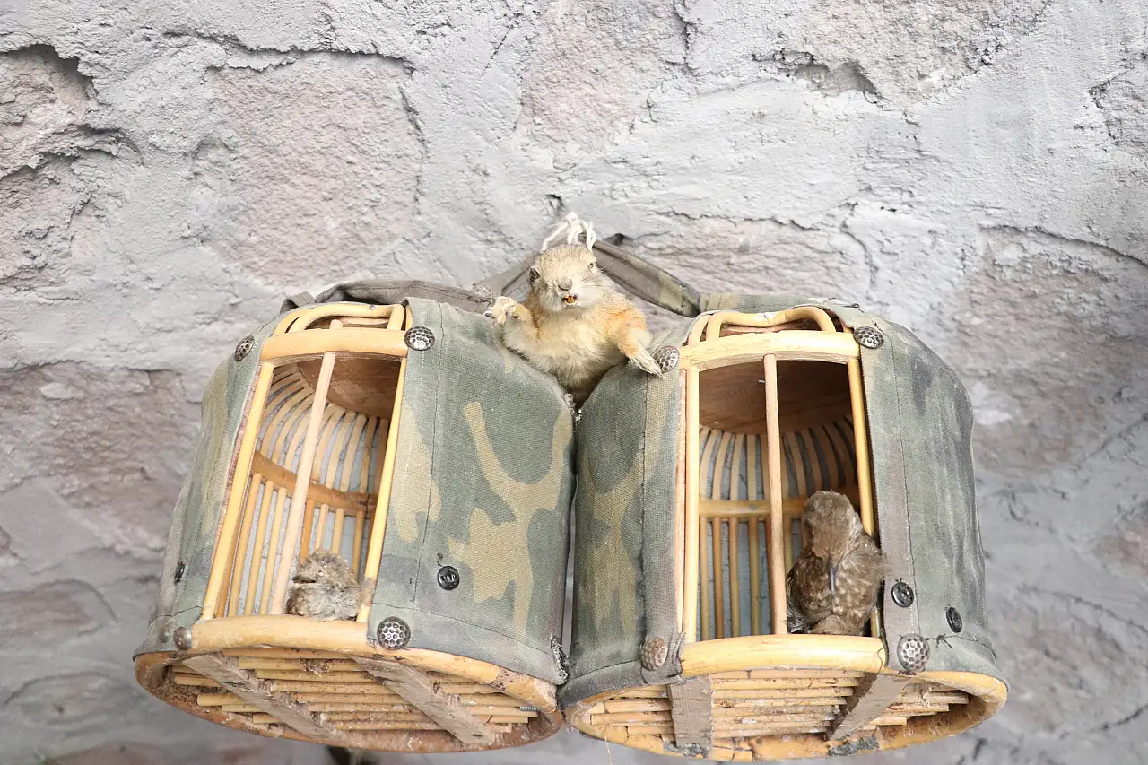 Kayseri'deki bu evin her köşesi tarih kokuyor