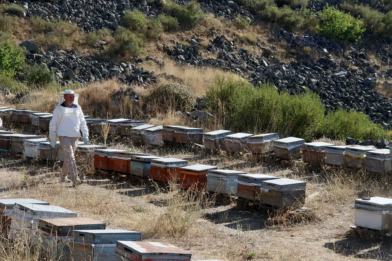 Kayseri'de 3 kovandan 400'e uzanan başarı hikayesi!