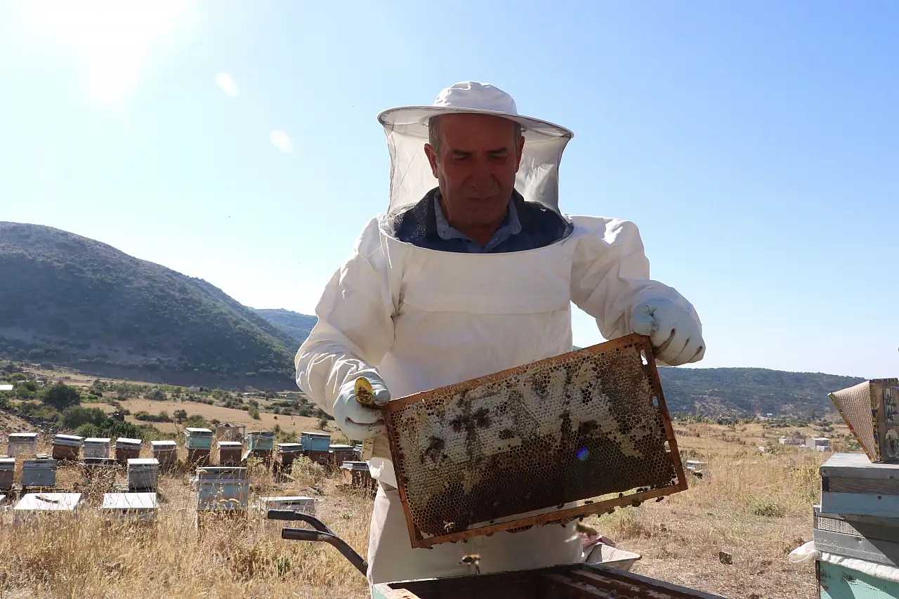 Kayseri'de 3 kovandan 400'e uzanan başarı hikayesi!