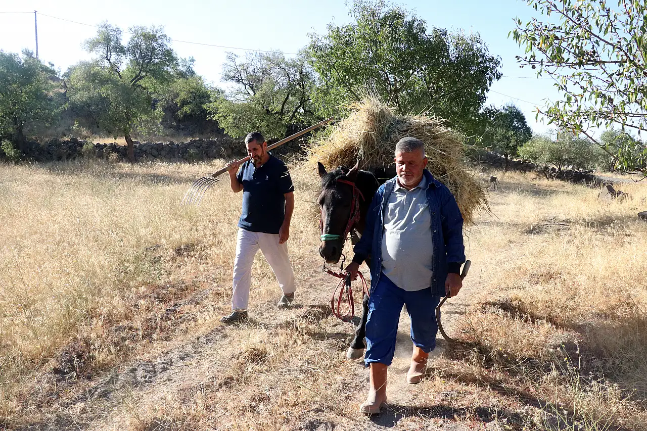 Hacılar'da 3 arkadaş, atalarından kalan geleneği yaşatıyor