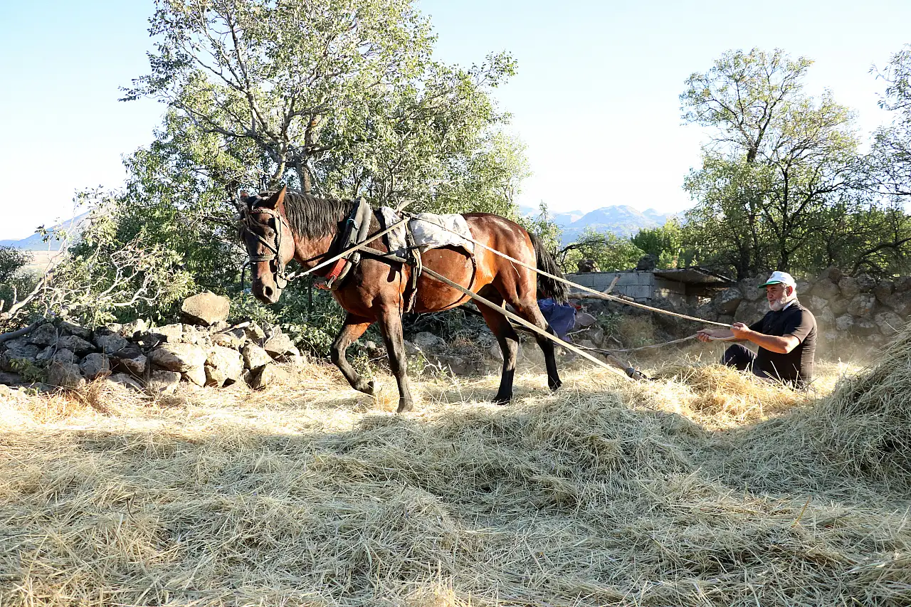 Hacılar'da 3 arkadaş, atalarından kalan geleneği yaşatıyor
