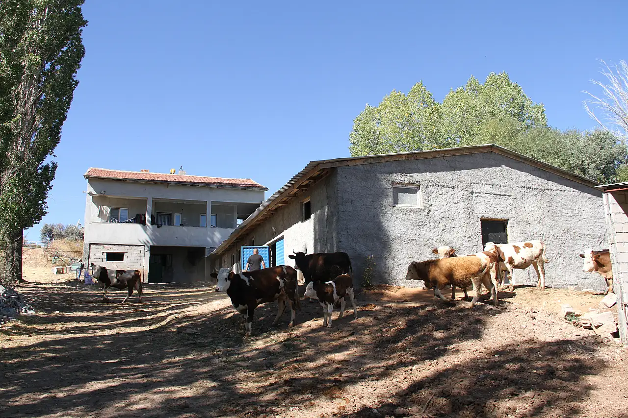 Eski hükümlü Abbas devlet desteğiyle hayata tutundu
