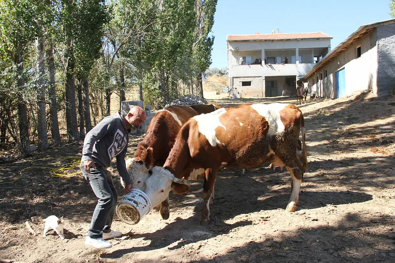 Eski hükümlü Abbas devlet desteğiyle hayata tutundu