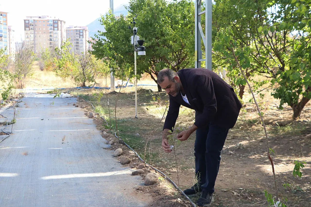 Tarımda güneş enerjisiyle çift kat verim sağlanacak