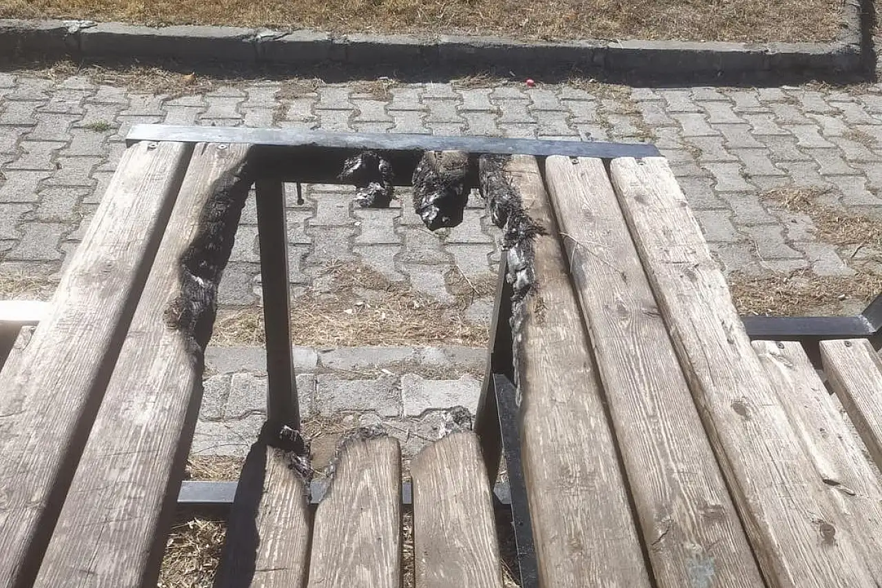 'Bu görüntüler Tomarza'ya yakışmadı'