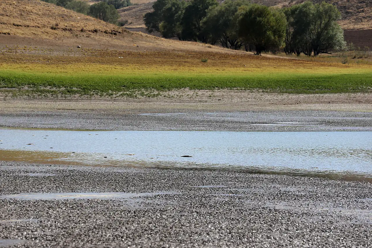 Kayseri'de sular çekildi, balıklar telef oldu