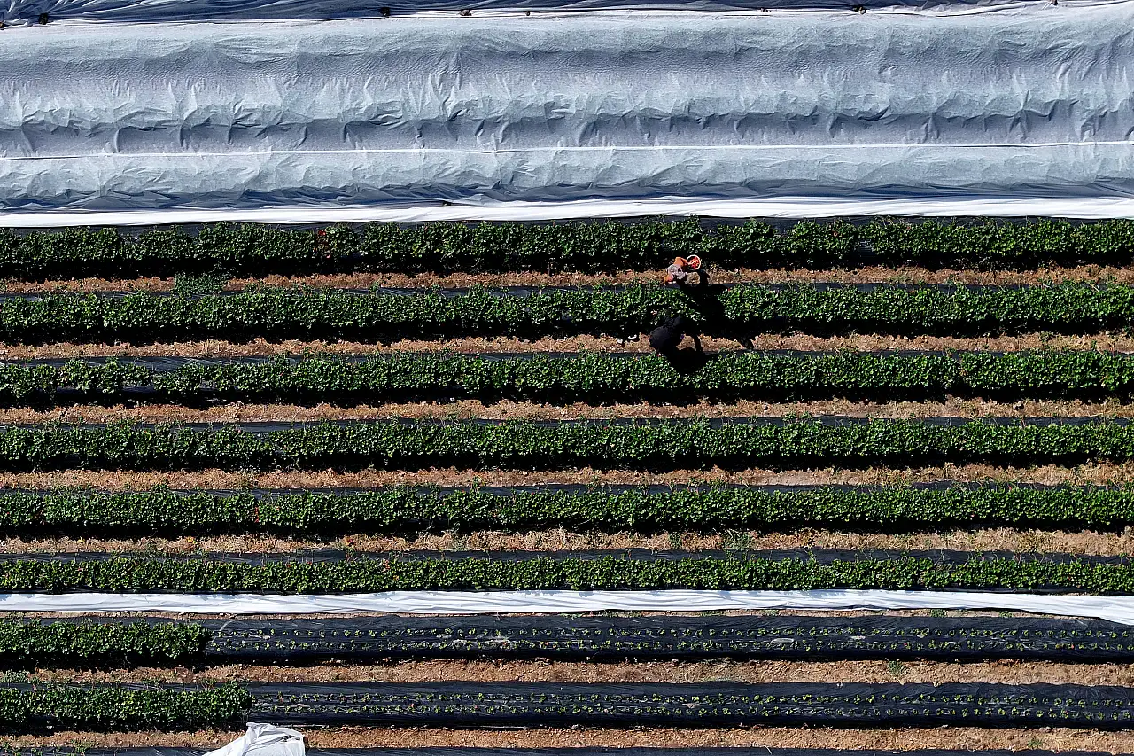 Gelin ve görümce el ele verip atıl araziyi bakın neye dönüştürdü