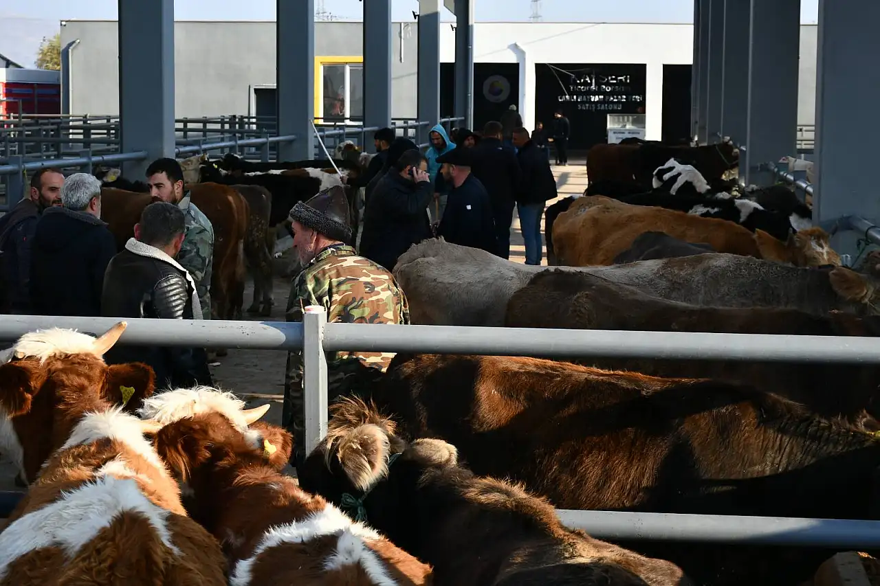 Kayseri'de hareketli sabah! Güne pazarlıkla başladılar